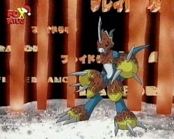 201-80.jpg